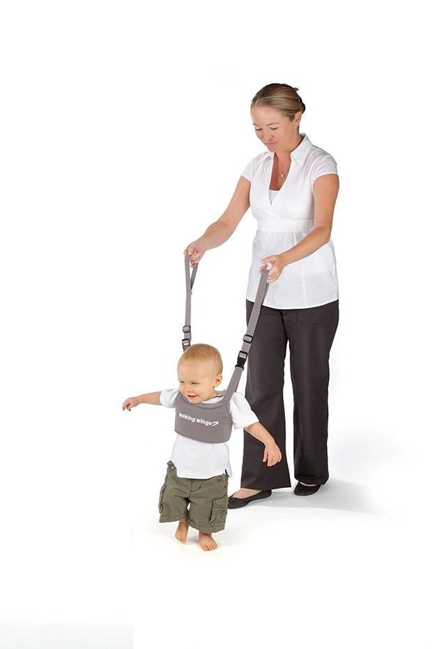 Walking Wings walking assistant