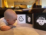 Good Morning Bubu bilingual book by Celia Jaber
